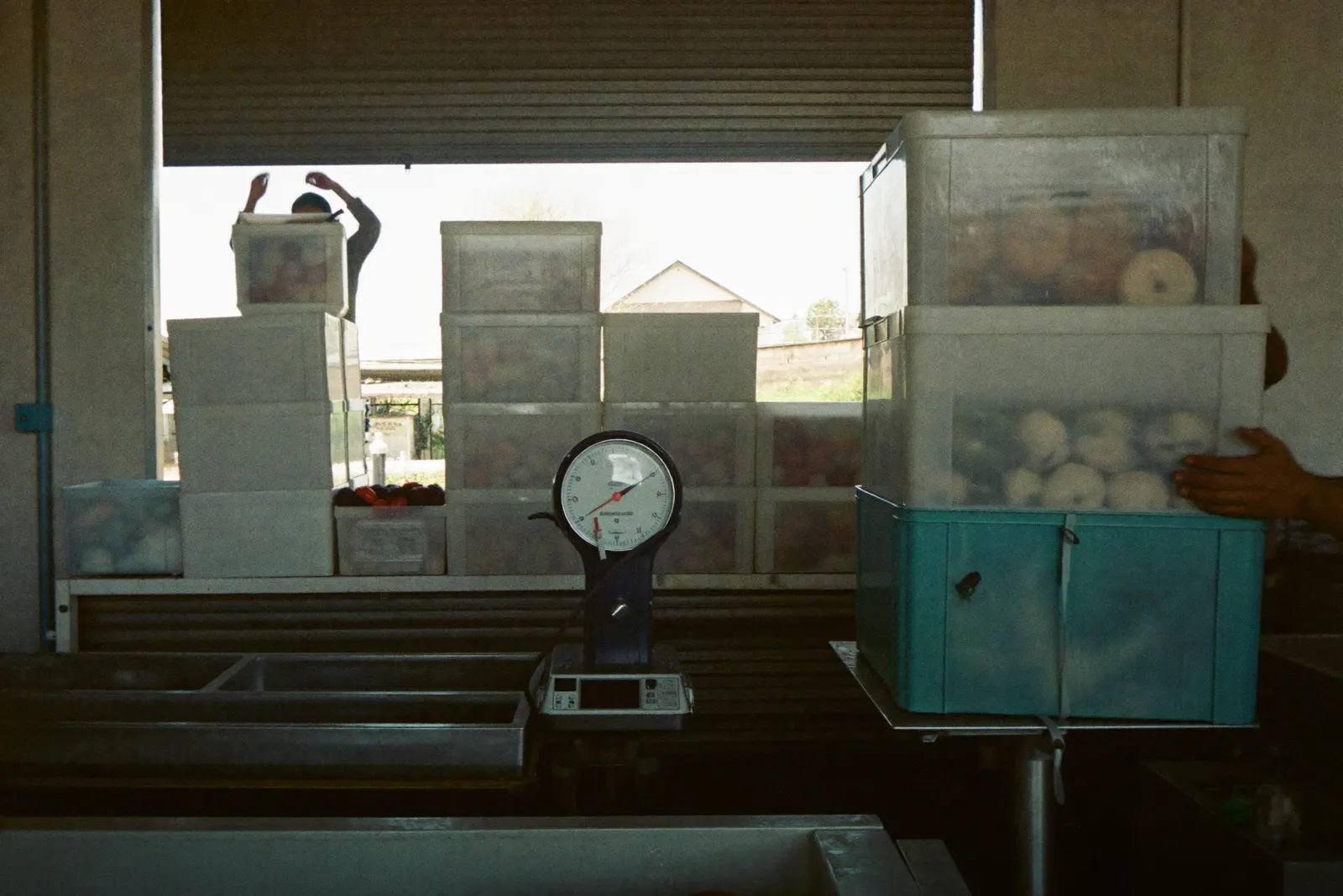 Crates of produce stacked at a receiving bay beside a weighing scale